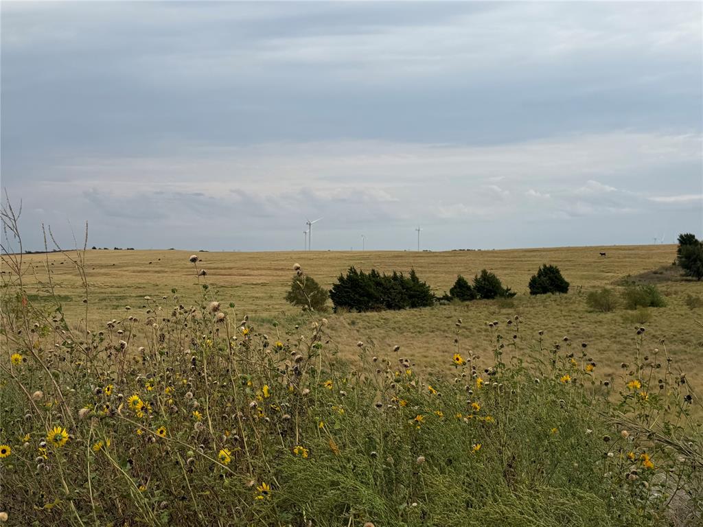 39111 Us Highway 281 Property Photo 7