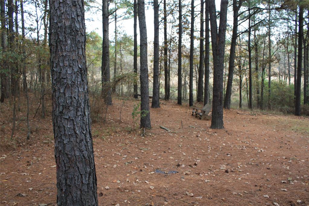 78 Hemlock Grove Road Property Photo 28