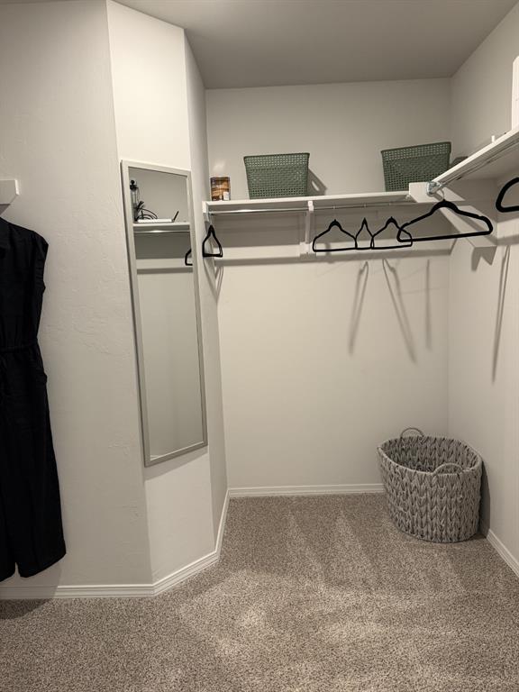 13405 Juneberry Drive Property Photo 14