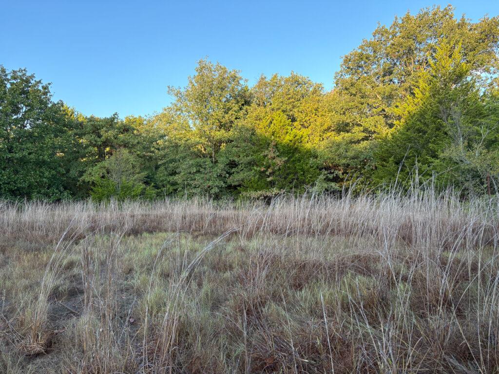 5148 N Enville Road Property Photo 33