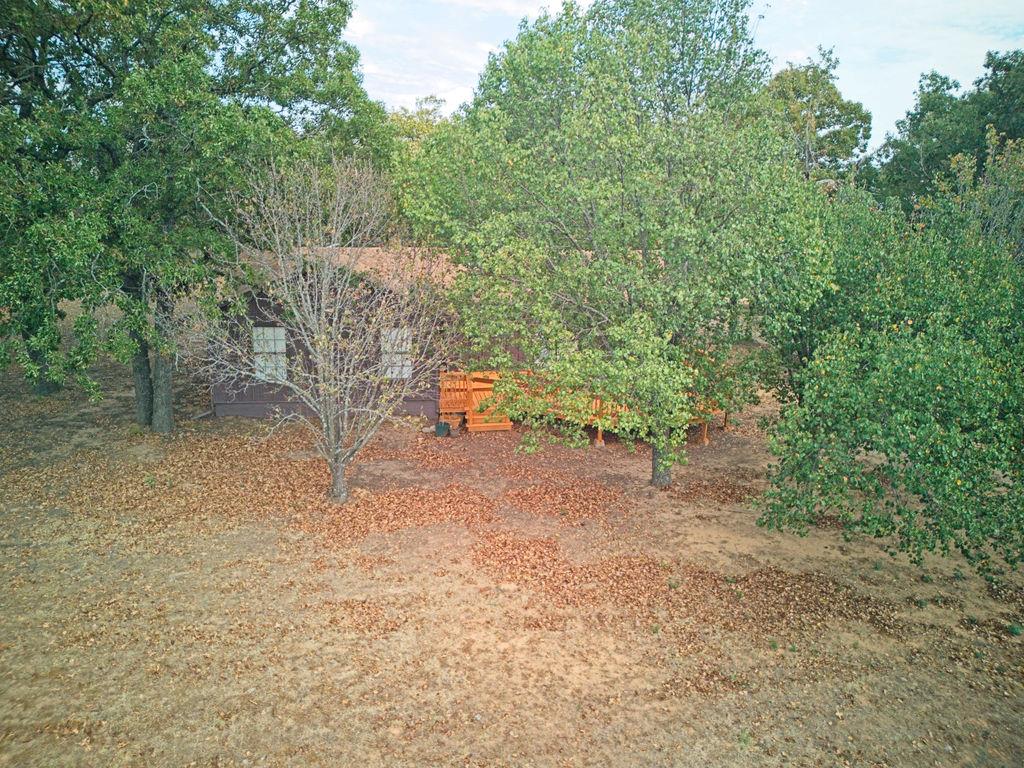 11301 Canyon Oaks Drive Property Photo 34