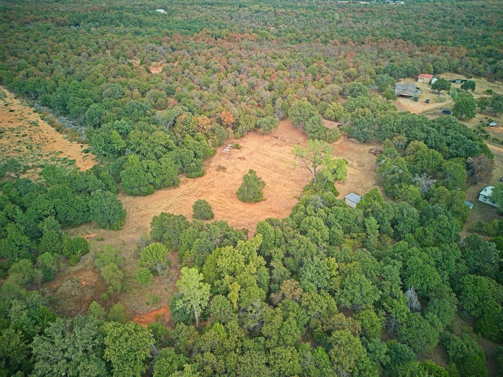 11301 Canyon Oaks Drive Property Photo 40