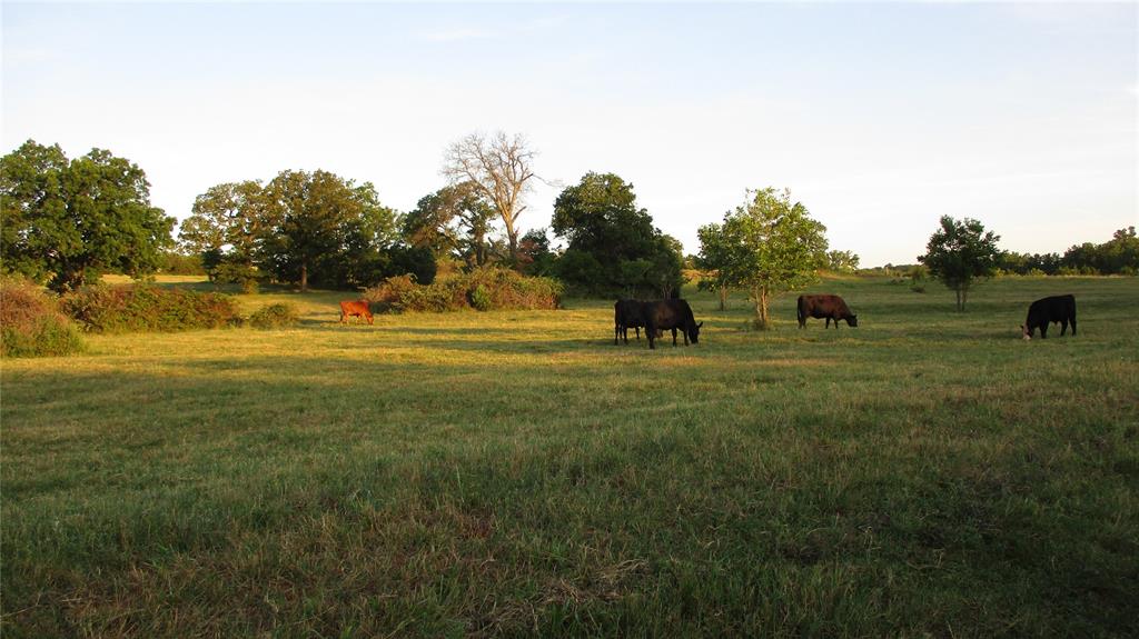 950494 S 3340 Road Property Photo 5