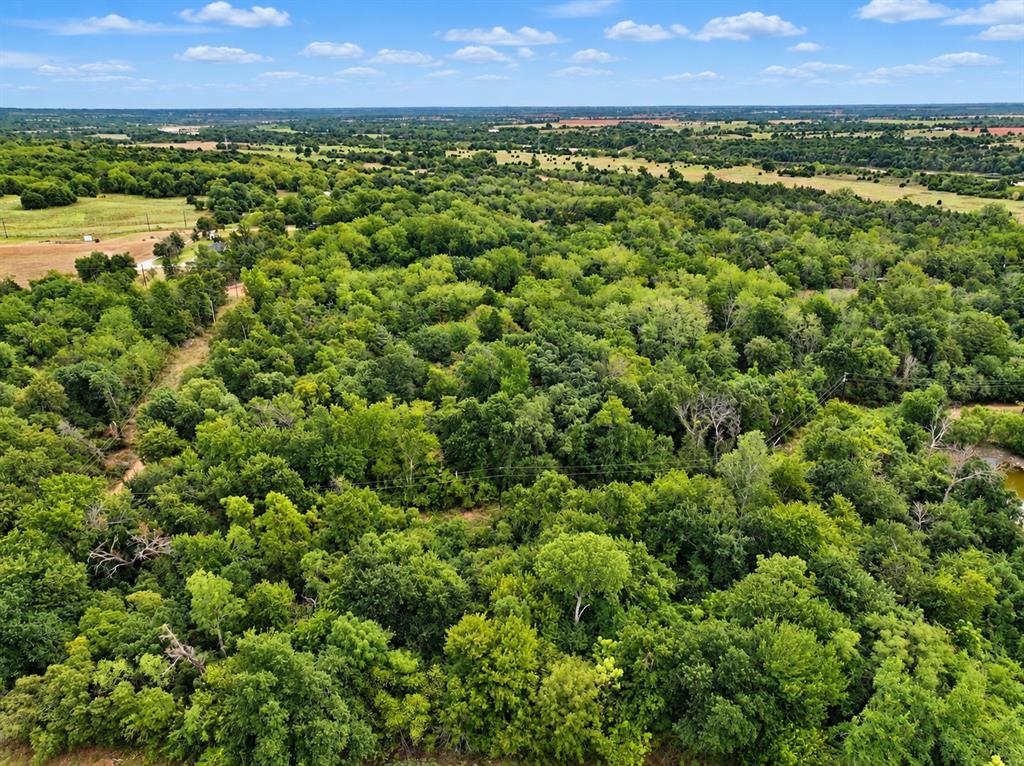 1703 Broken Arrow Road Property Photo 4