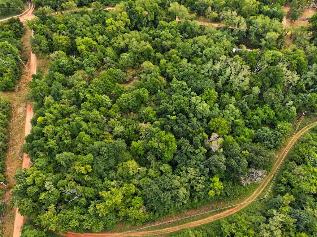 1703 Broken Arrow Road Property Photo 8