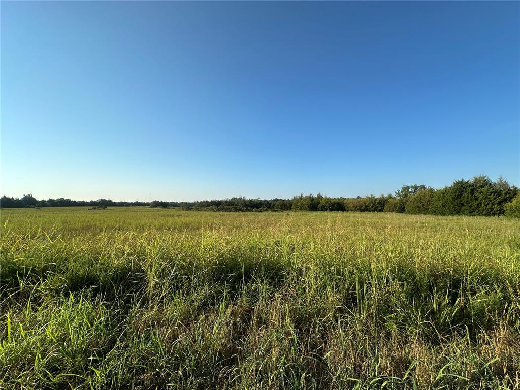 18709 Sharon Road Property Photo 18