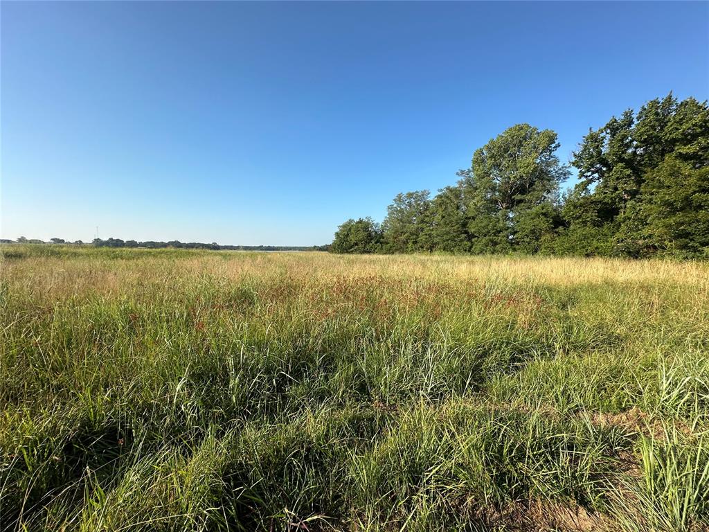 18709 Sharon Road Property Photo 21