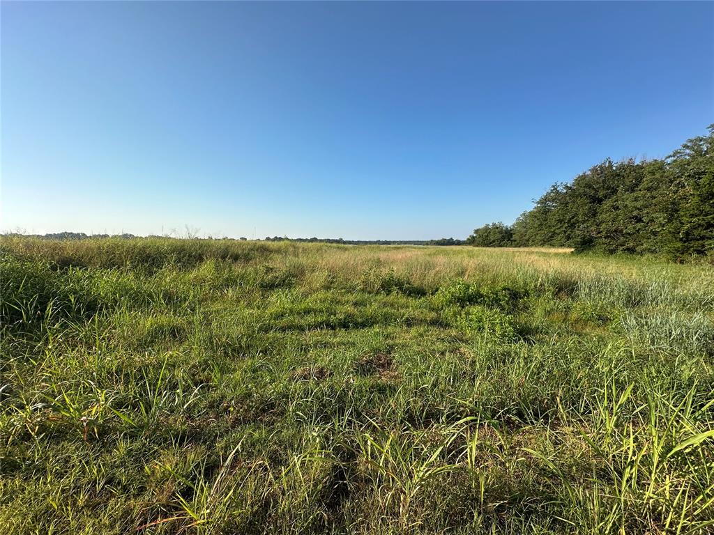 18709 Sharon Road Property Photo 30