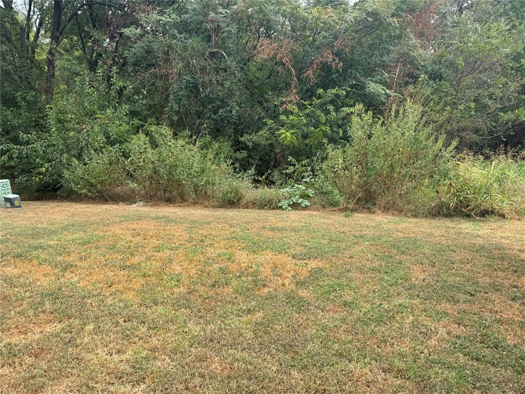 1320 Cedar Creek Drive Property Photo 3