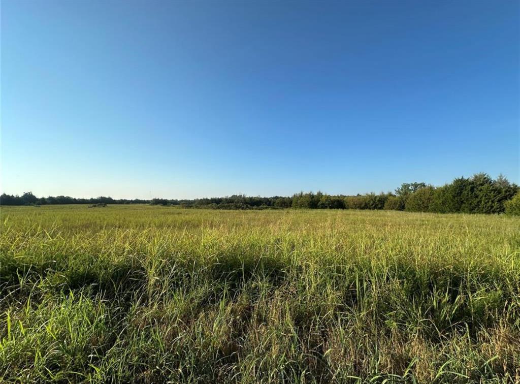 00 Sharon South 24.3 Acres Road Property Photo 17