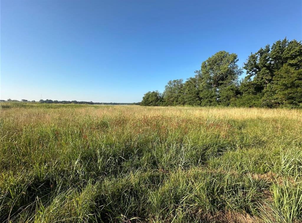 00 Sharon South 24.3 Acres Road Property Photo 20