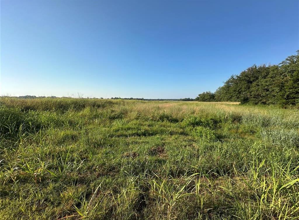 00 Sharon South 24.3 Acres Road Property Photo 29