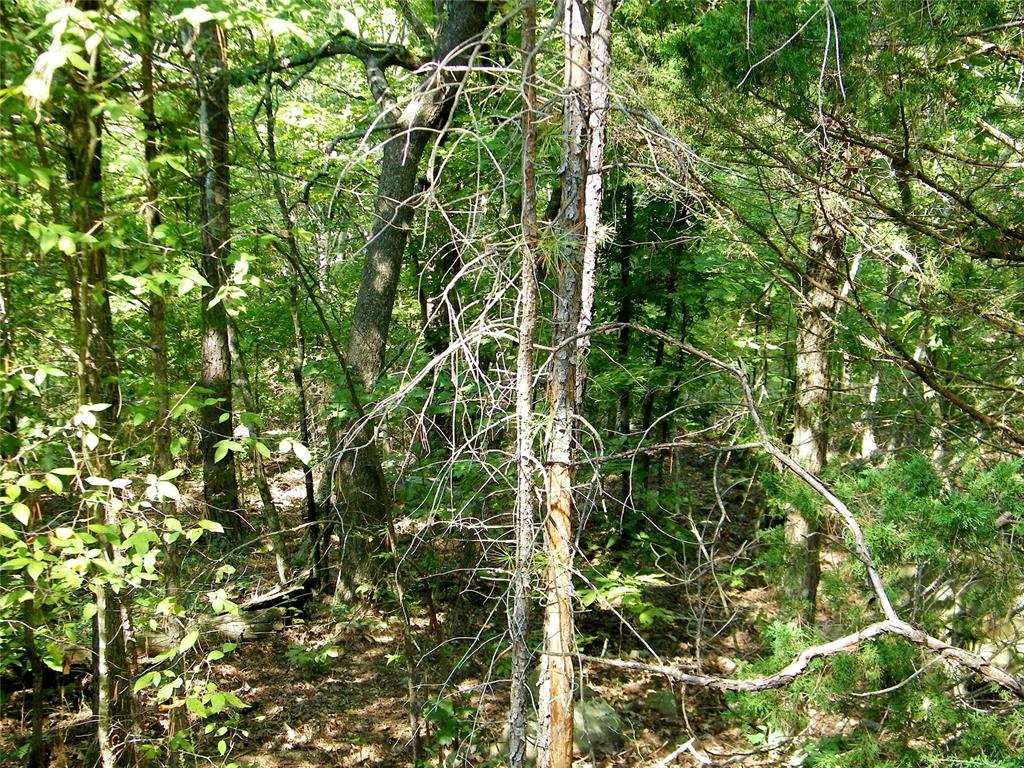 Hee Creek Property Photo 1