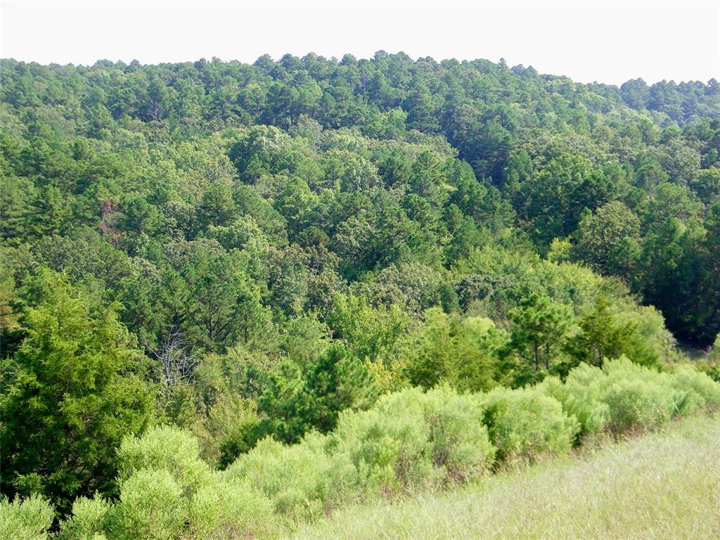 Hee Creek Property Photo 9