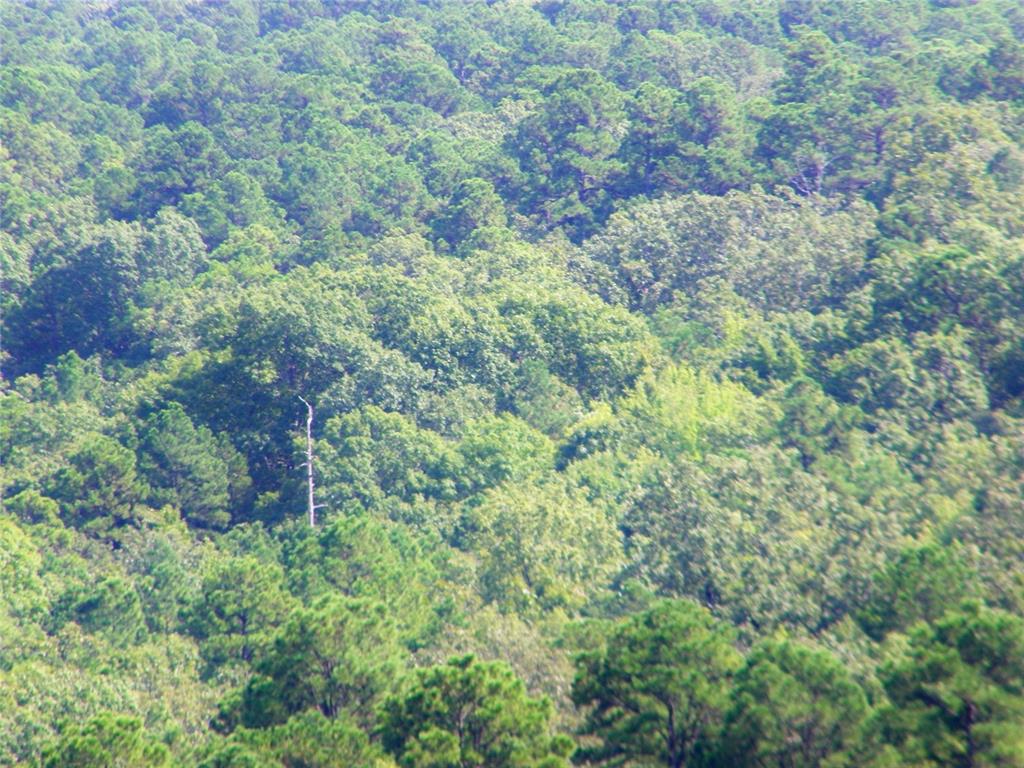 Hee Creek Property Photo 12