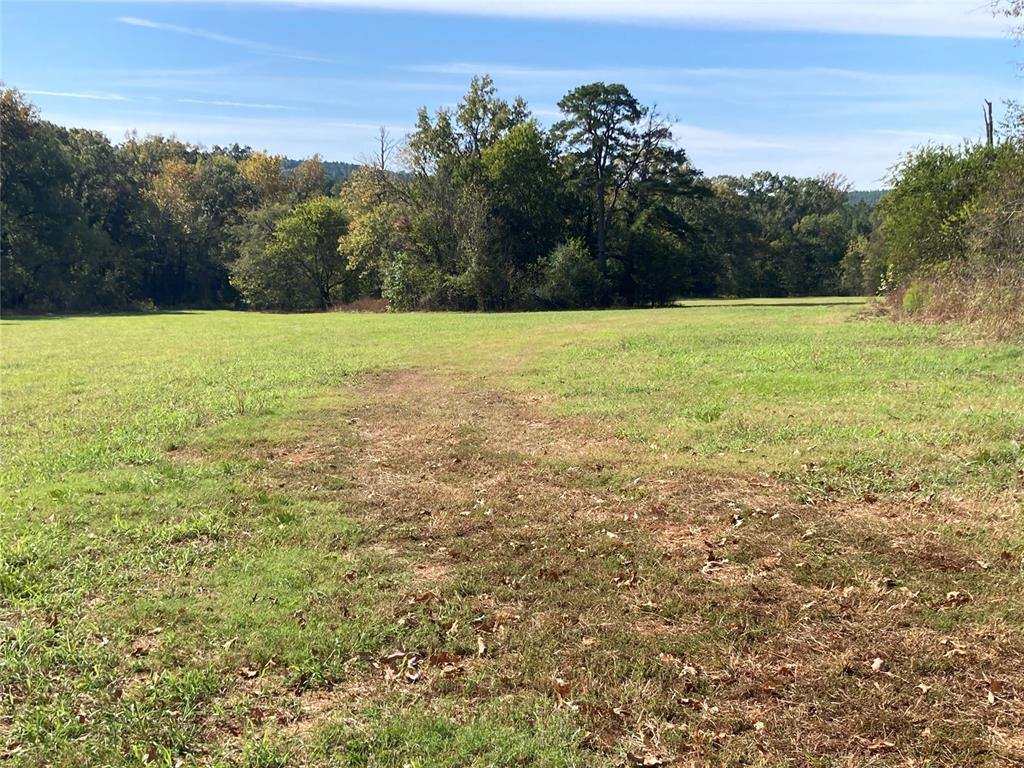 901 Sycamore Bend Loop Property Photo 6