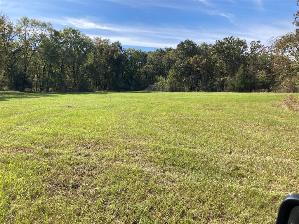 901 Sycamore Bend Loop Property Photo 7