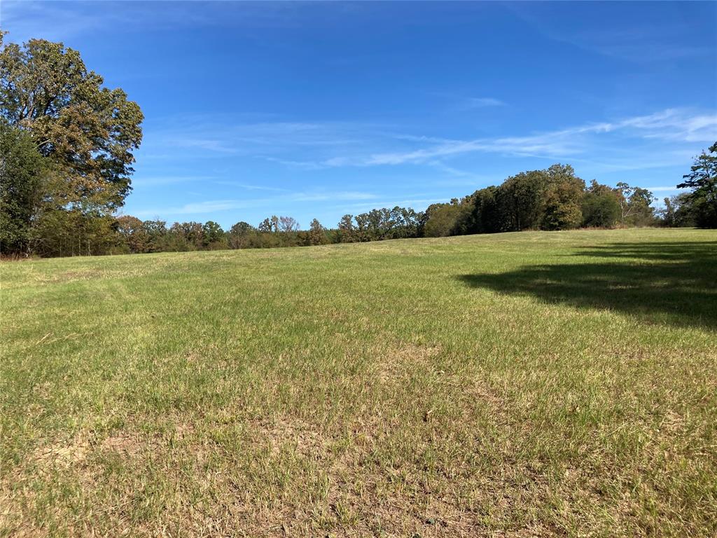 901 Sycamore Bend Loop Property Photo 13
