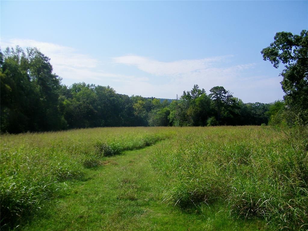 901 Sycamore Bend Loop Property Photo 19