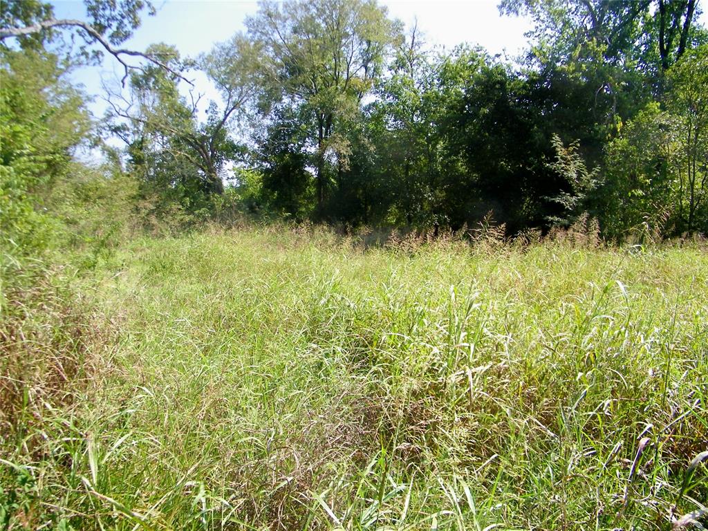 901 Sycamore Bend Loop Property Photo 20