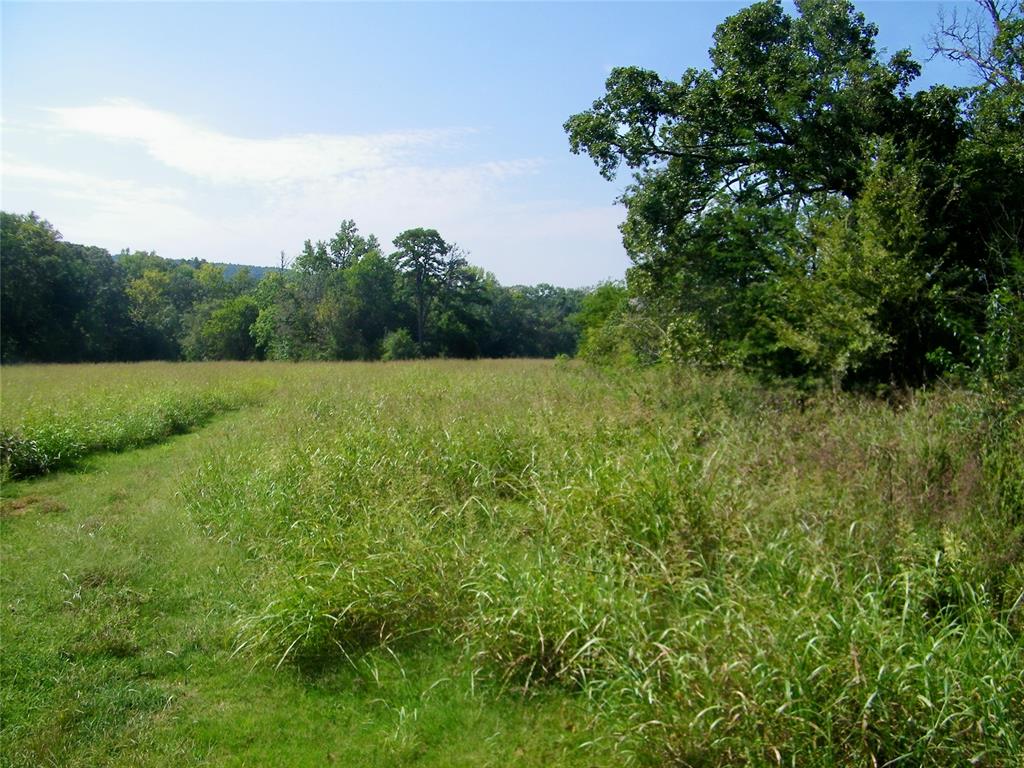 901 Sycamore Bend Loop Property Photo 21