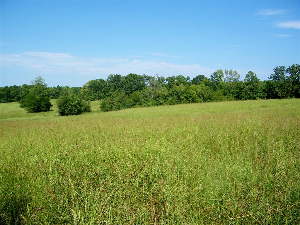 901 Sycamore Bend Loop Property Photo 23