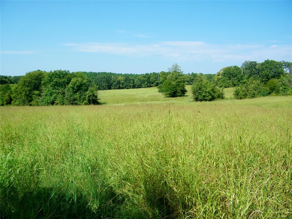 901 Sycamore Bend Loop Property Photo 24
