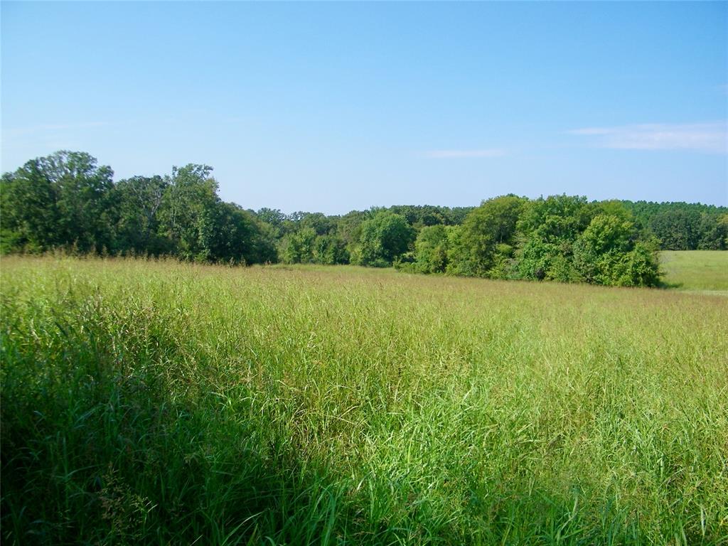 901 Sycamore Bend Loop Property Photo 25