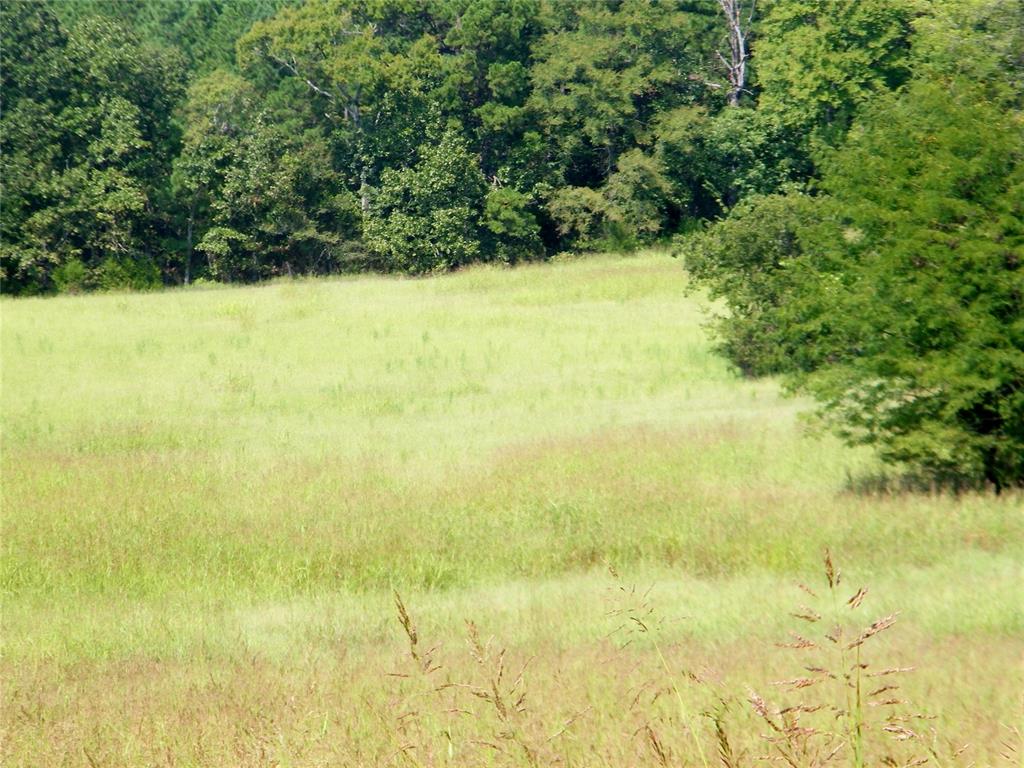 901 Sycamore Bend Loop Property Photo 26