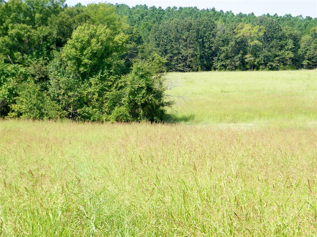 901 Sycamore Bend Loop Property Photo 28
