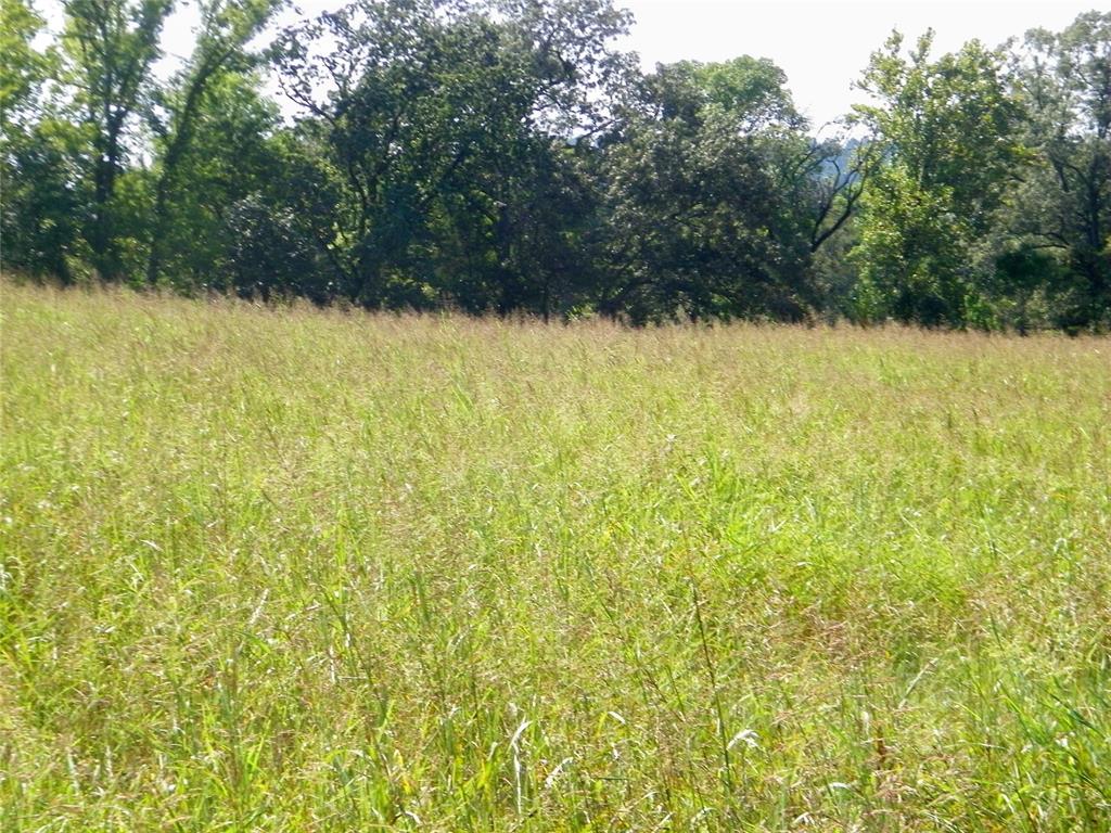 901 Sycamore Bend Loop Property Photo 29