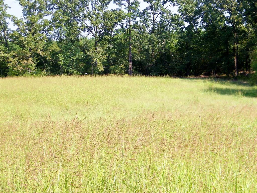 901 Sycamore Bend Loop Property Photo 30