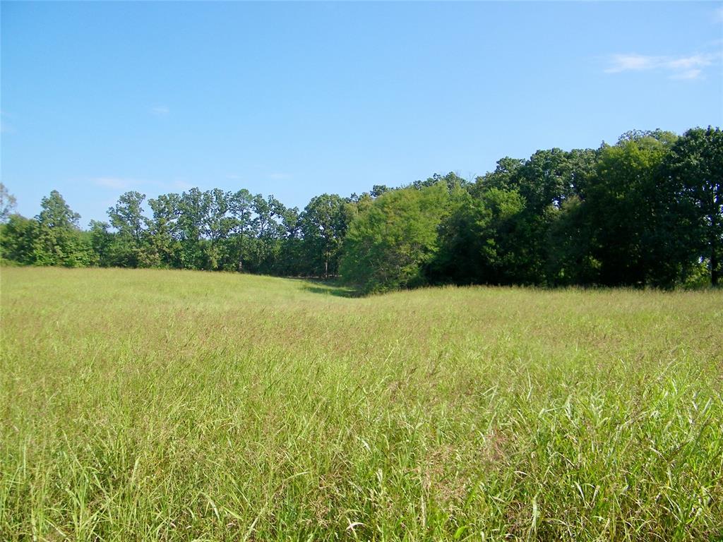 901 Sycamore Bend Loop Property Photo 35