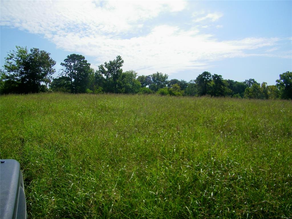 901 Sycamore Bend Loop Property Photo 36