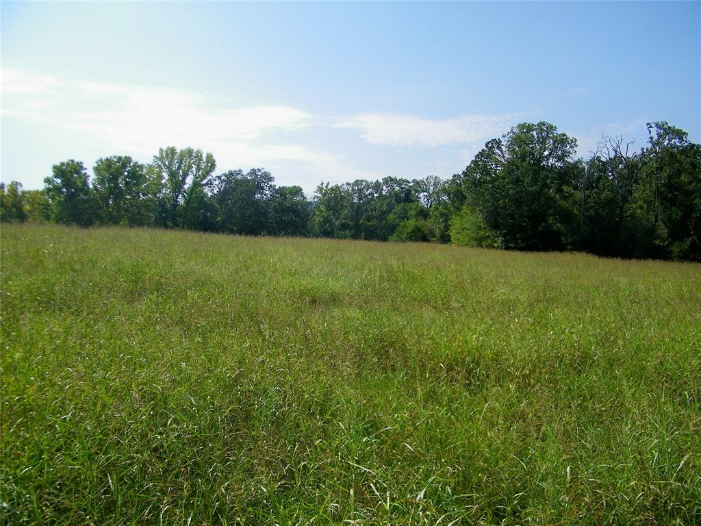901 Sycamore Bend Loop Property Photo 37