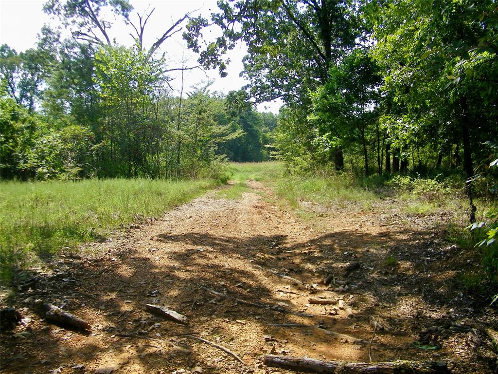 901 Sycamore Bend Loop Property Photo 41