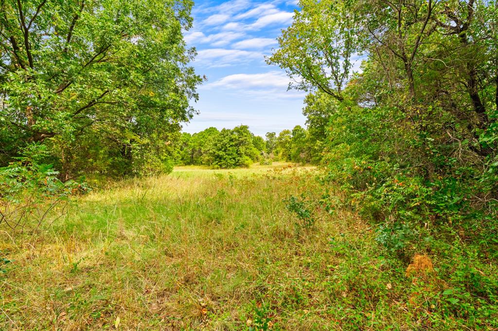 21152 Owens Drive Property Photo 34