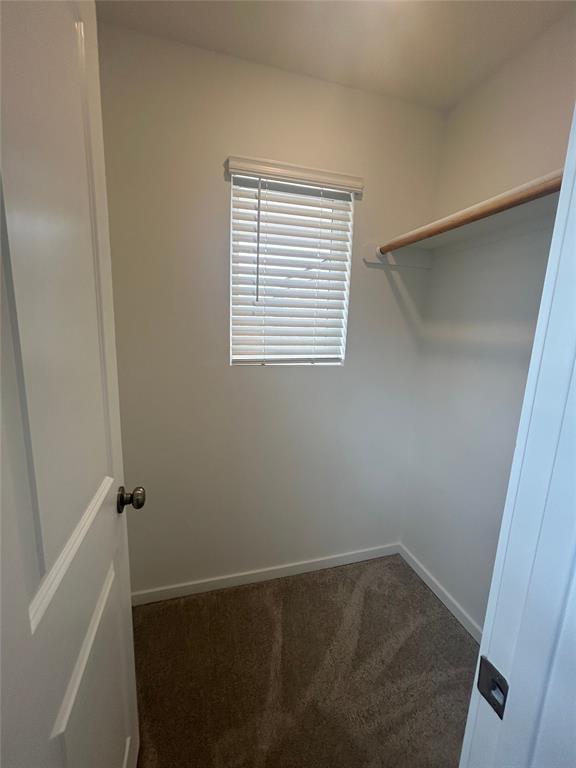 20504 Mule Deer Drive Property Photo 14