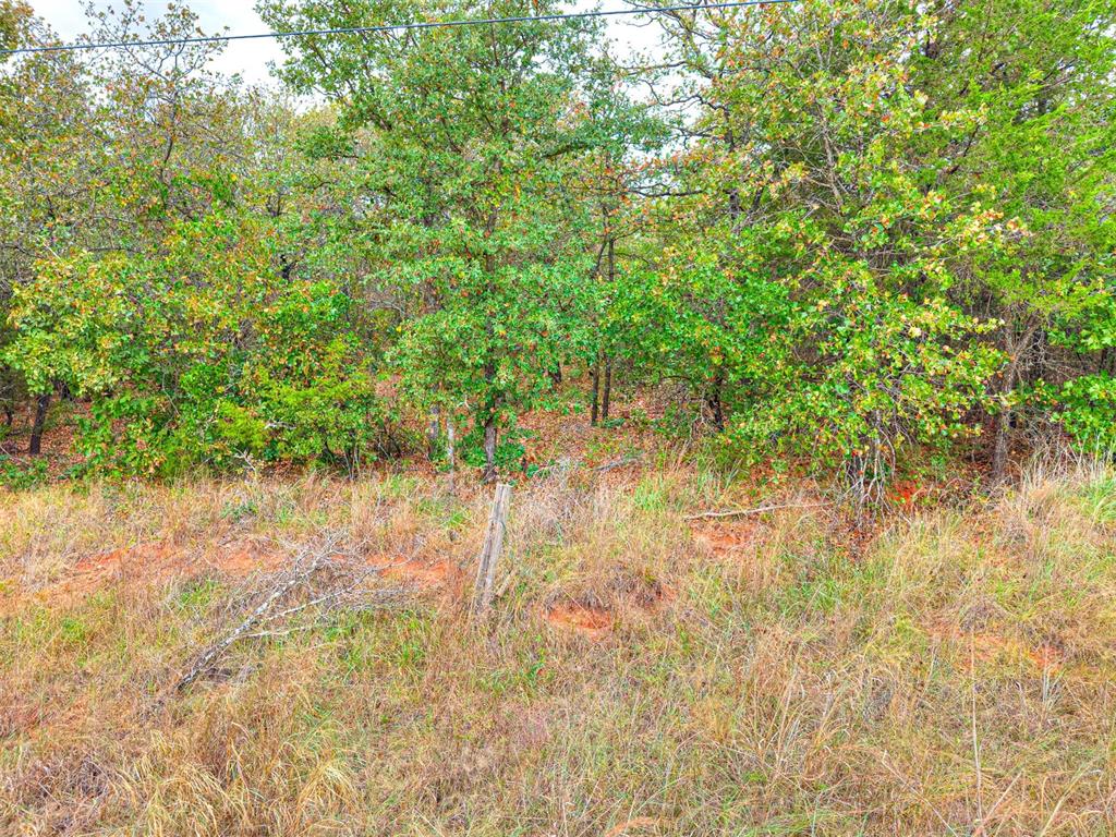 8750 Bounbonais Creek Road Property Photo 6
