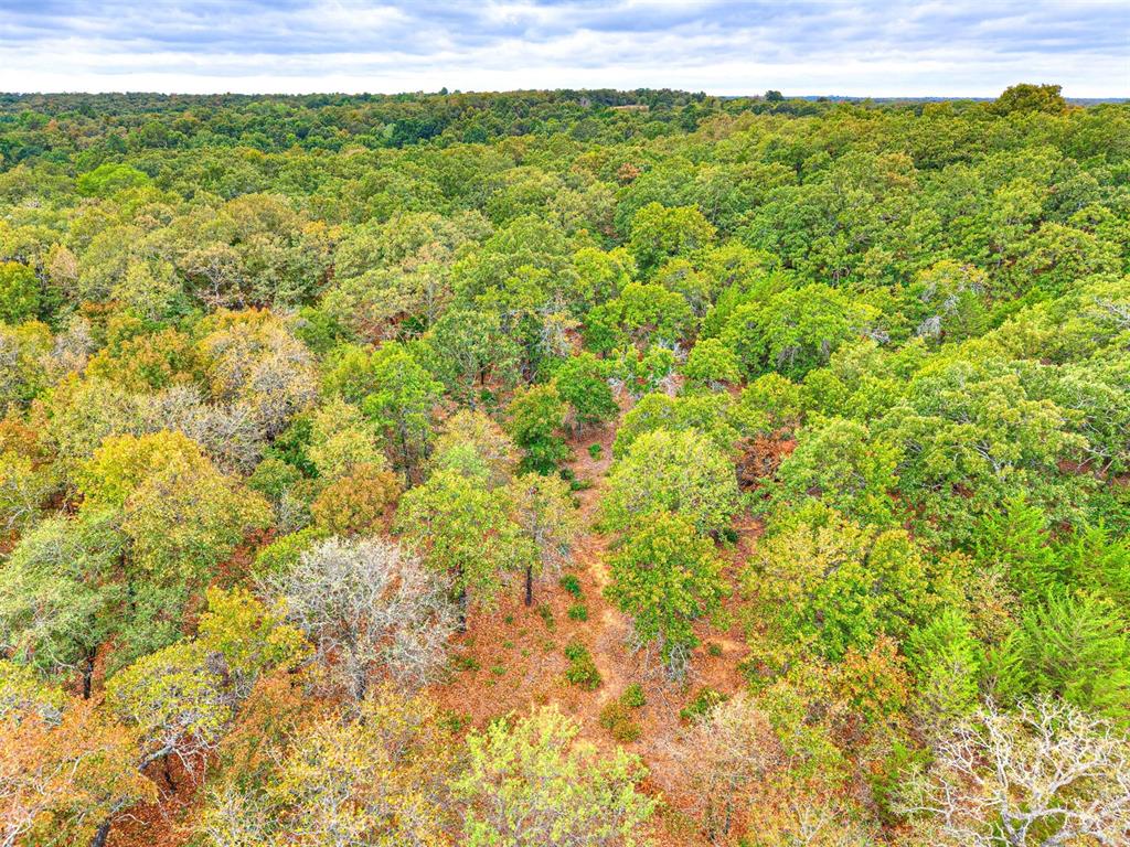 8750 Bounbonais Creek Road Property Photo 15