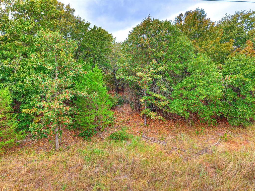 8750 Bounbonais Creek Road Property Photo 17
