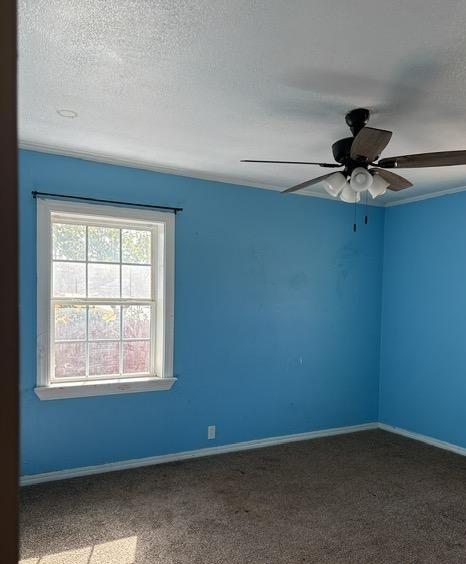 1105 Nowahy Avenue Property Photo 12