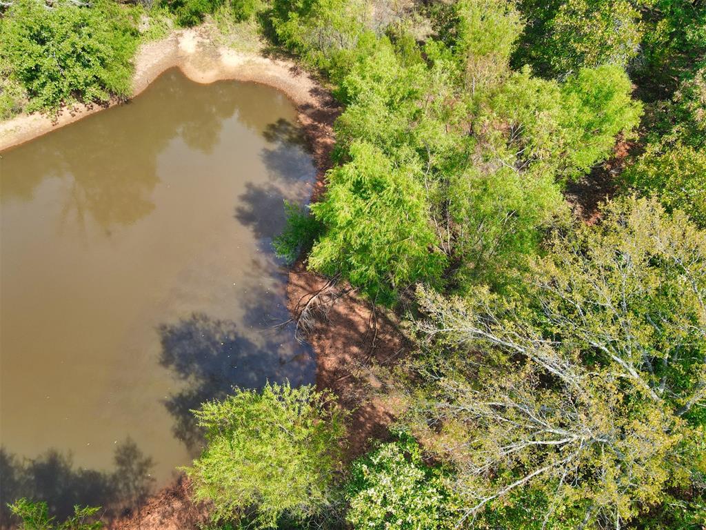 25171 Hwy 102 Property Photo 40