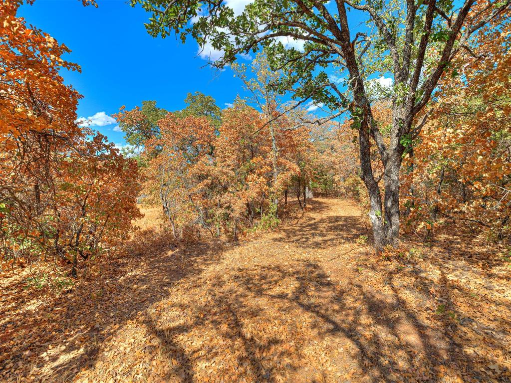 10422 236th Street Property Photo 13