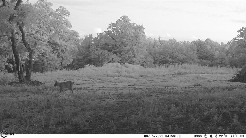 10422 236th Street Property Photo 40