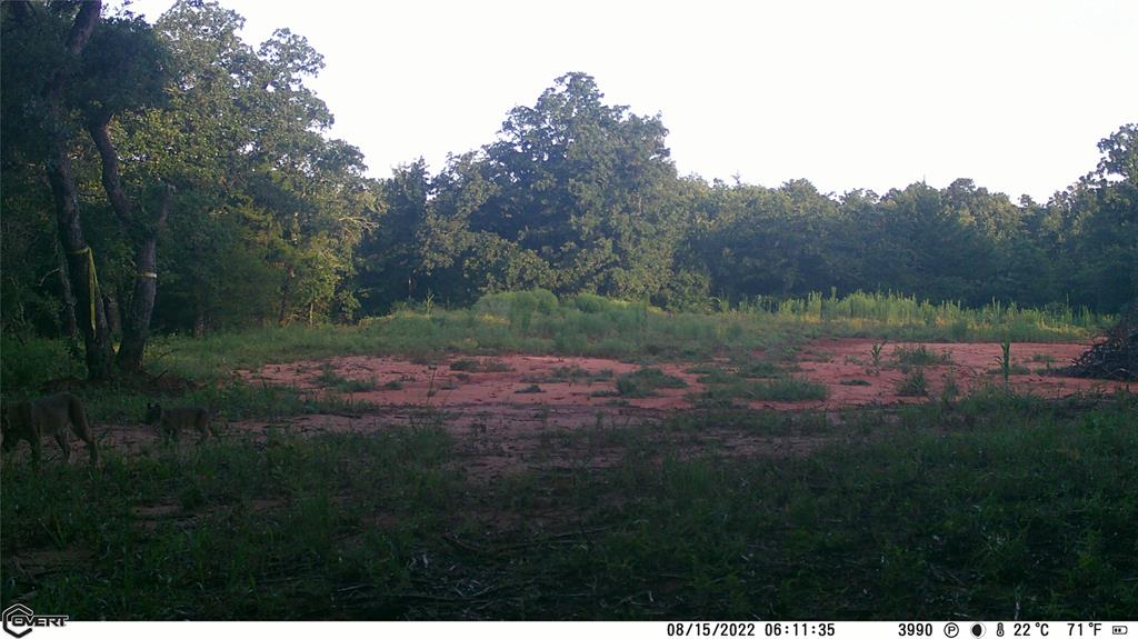 10422 236th Street Property Photo 42