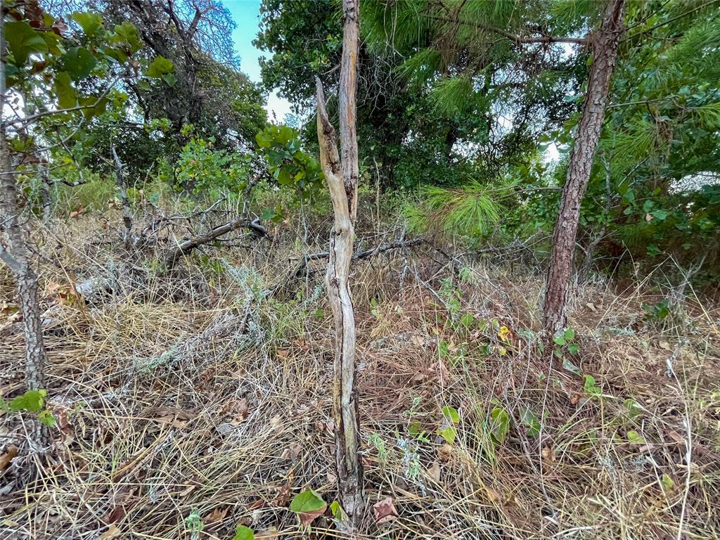 0000 State Highway 76 Property Photo 37