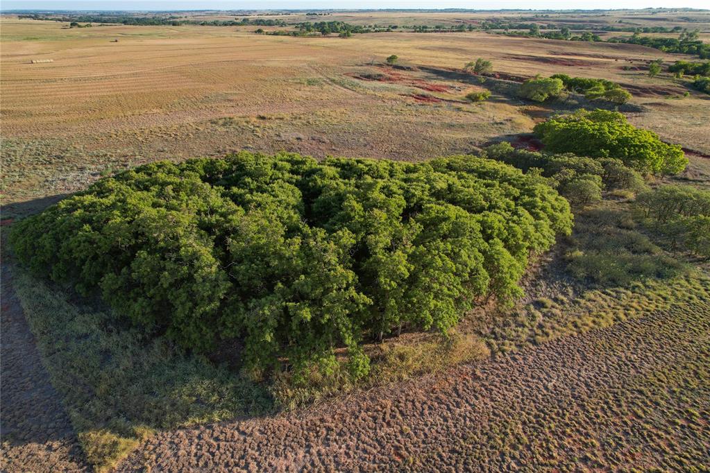 160 Acres - E 1140 & N 1860 Roads Property Photo 15