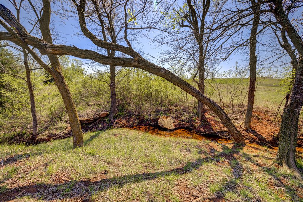 12900 Country Lane Property Photo 41
