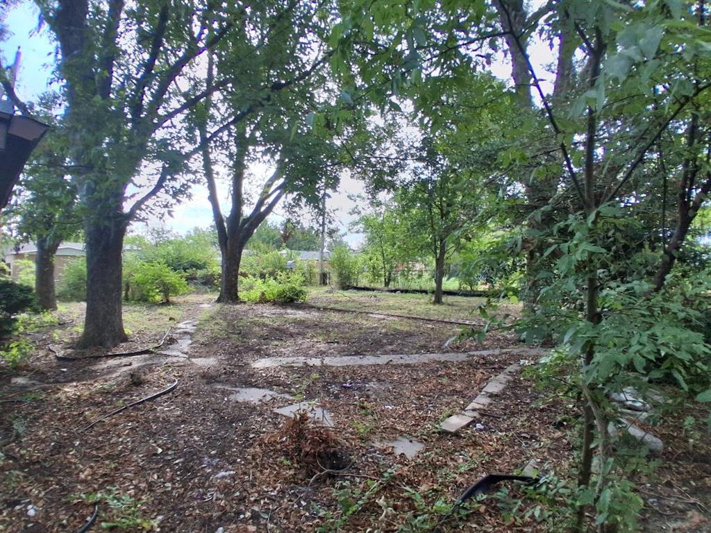 1409 E Nancy Street Property Photo 4